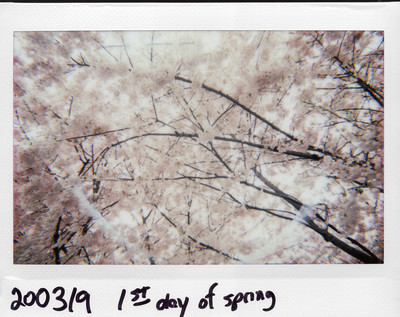 200319