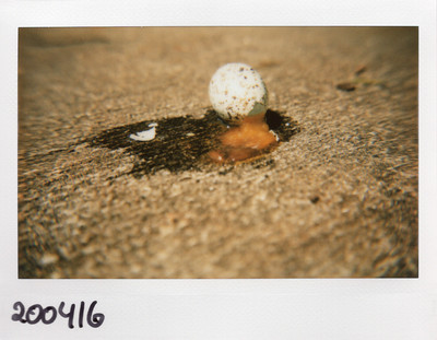 200416