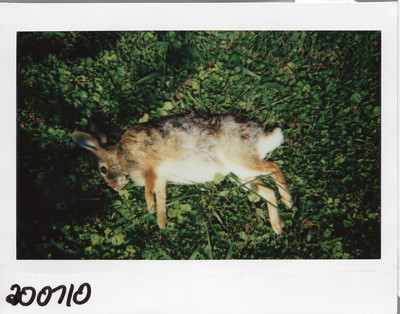 200710