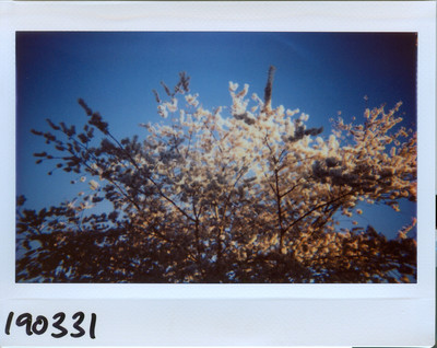 190331